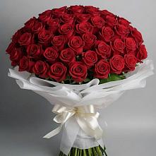 Букет 101 Красная роза Блэк Мэджик в Сосновское