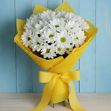 Букет цветов из:  Хризантемы в Сосновское