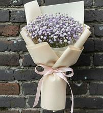 Букет цветов из:  Гипсофила #REPLACE_PRED# Сосновское
