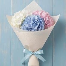 Букет цветов из:  Гортензия #REPLACE_PRED# Сосновское