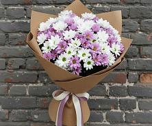 Букет цветов из:  Хризантемы в Сосновское