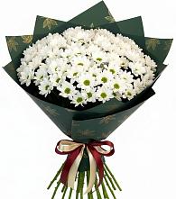Букет цветов из:  Хризантемы в Сосновское