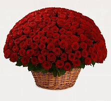 Премиум букет из: Розы в Сосновское