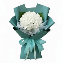 Букет цветов из:  Гортензия в Сосновское